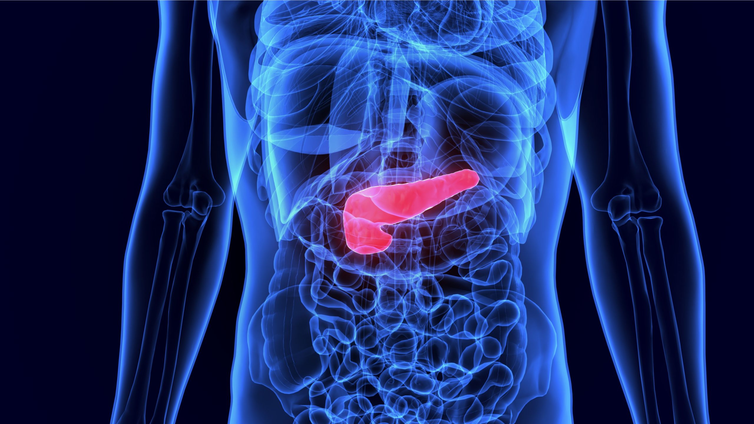 Conheça a função do pâncreas e as doenças que podem afetá-lo