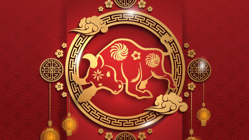 Previsões do horóscopo chinês para janeiro de 2022