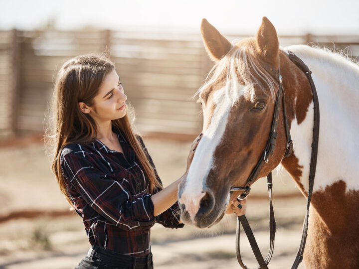 Saiba o que é necessário para ter um cavalo como animal de estimação