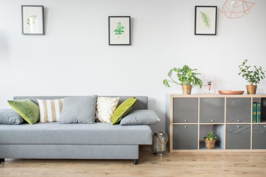 Sala de estar com sofá cinza, parede branca e vasos de planta 