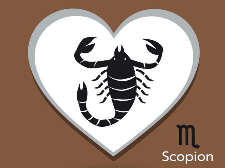 Escorpião: confira a combinação amorosa com os 12 signos