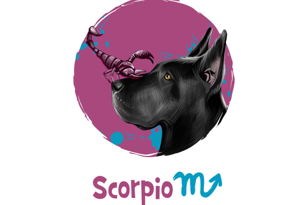 Ilustração de um cachorro e abaixo escrita e símbolo do signo de Escorpião
