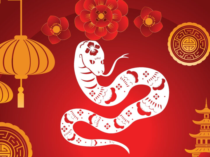 Serpente: conheça as características desse signo do horóscopo chinês