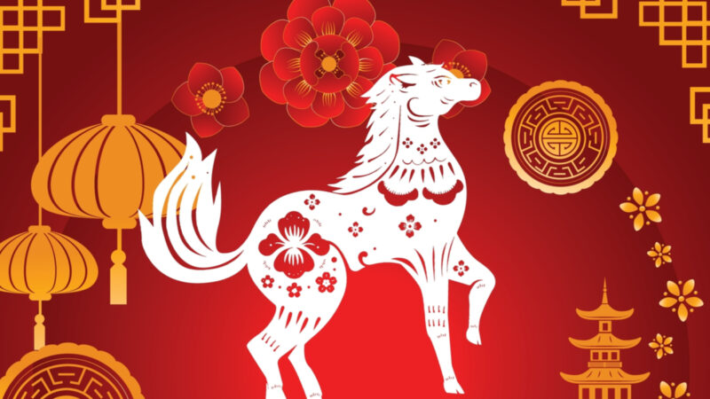Cavalo: conheça as características desse signo do horóscopo chinês