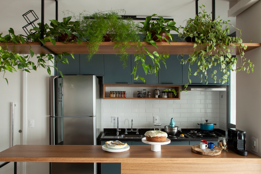 Cozinha pequena com plantas em prateleira acima do balcão