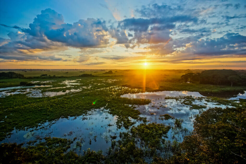 Imagem do pôr do sol no Pantanal