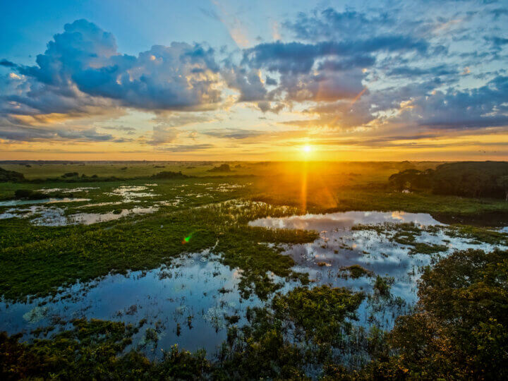 Pantanal: conheça o principal destino de turismo ecológico do país