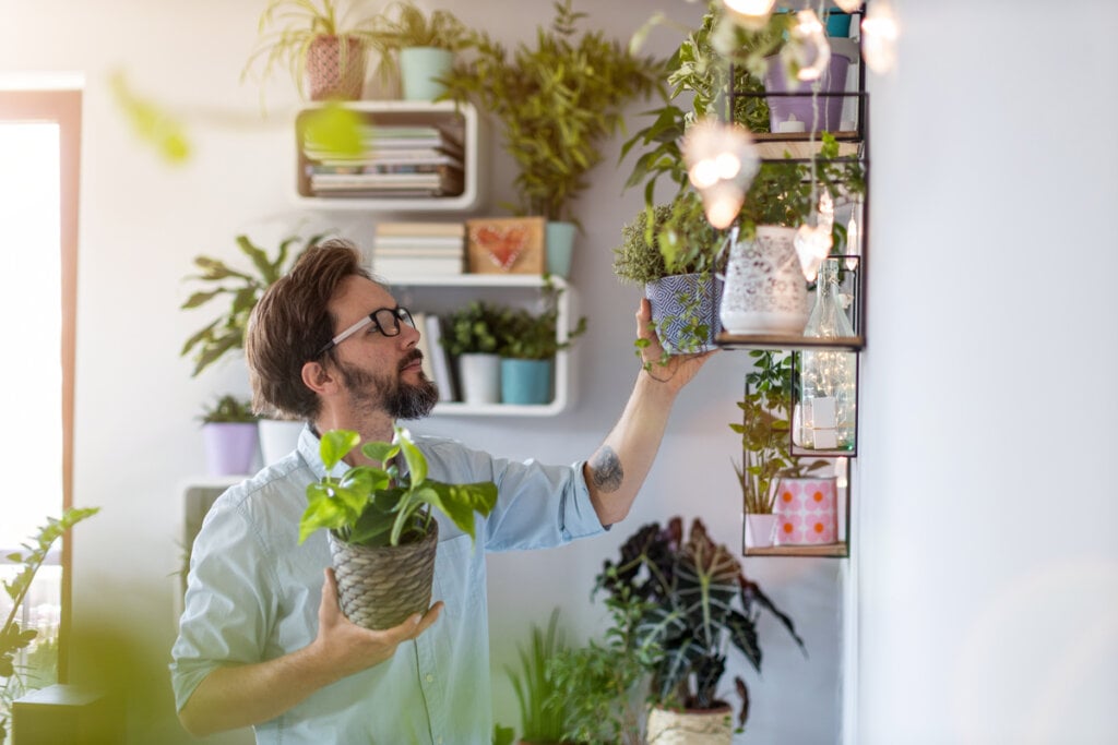 Homem colocando vaso de planta em prateleira