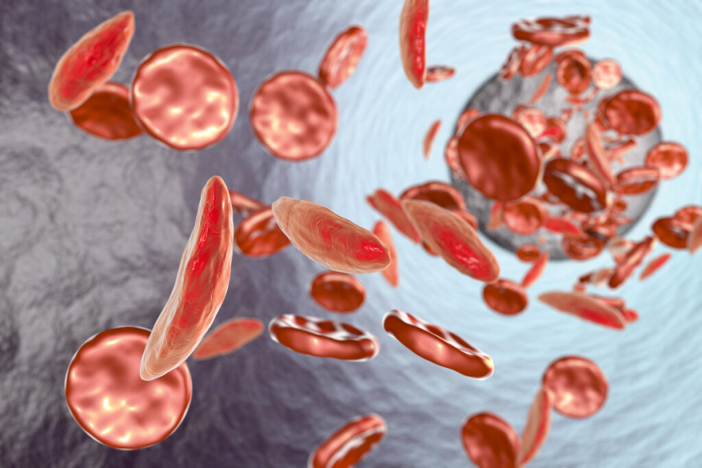 Ilustração dos glóbulos de sangue