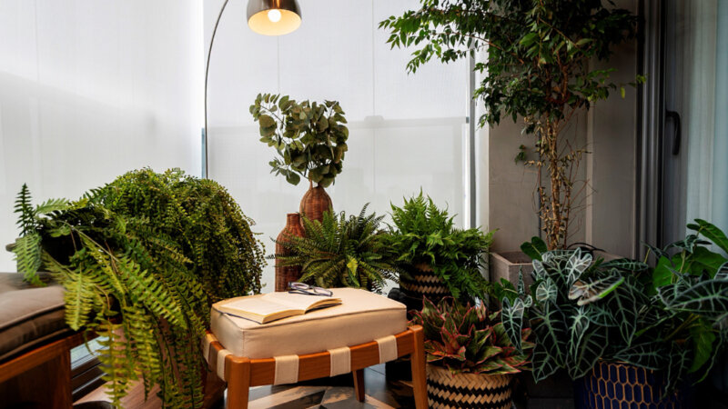 Estilo urban Jungle: 4 ideias para decorar os cantinhos verdes do seu lar