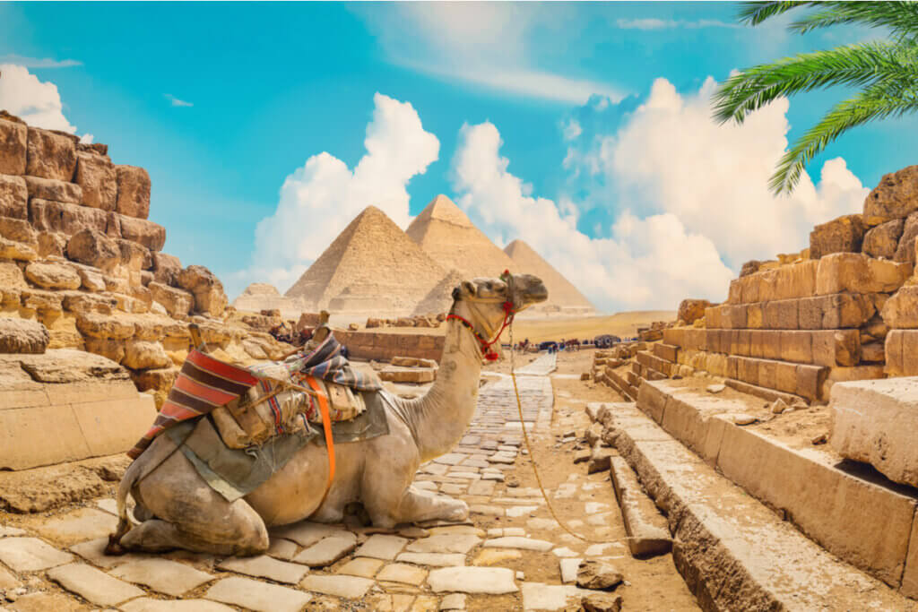 Camelo deitado próximo às pirâmides do Egito