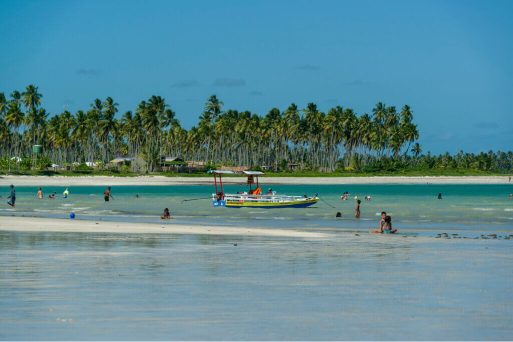 Praia em São Miguel dos Milagres, Alagoas, com diversos coqueiros e água azul-esverdeada