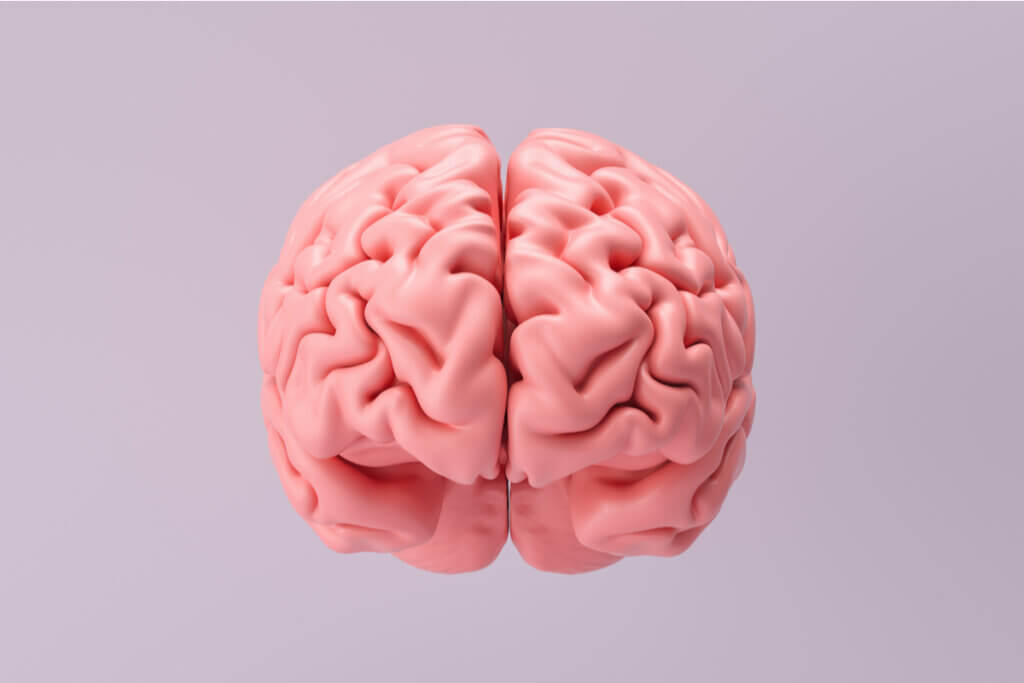 Ilustração com cérebro no fundo rosa
