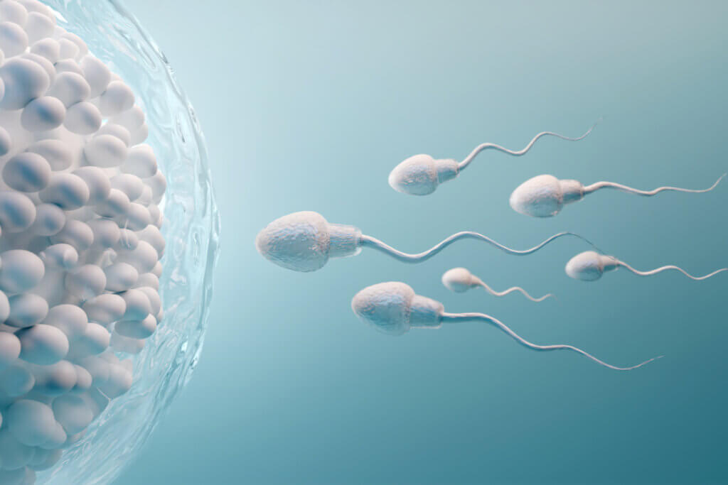 Ilustração de espermatozóides