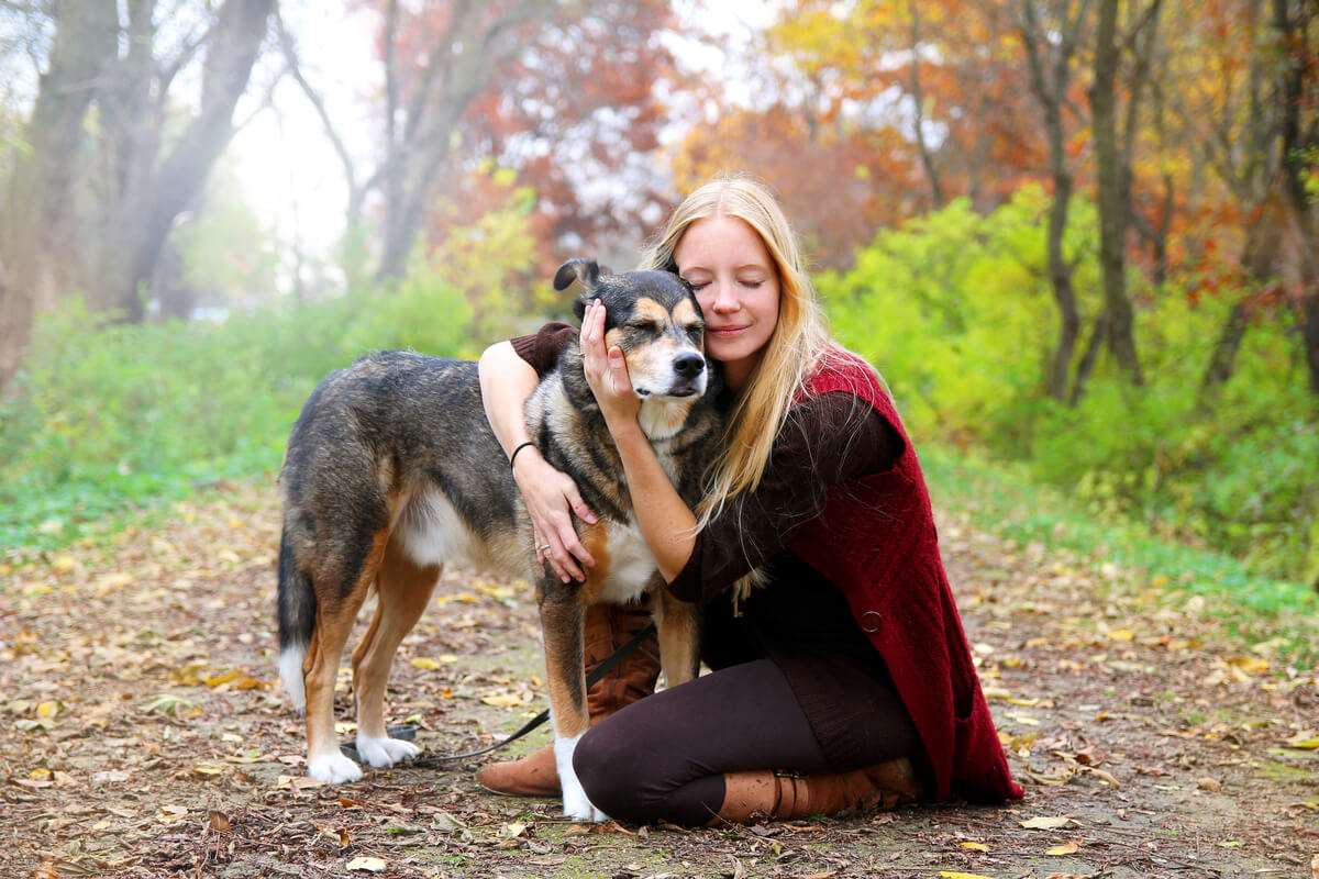 12 mitos sobre cachorros que você precisa saber 