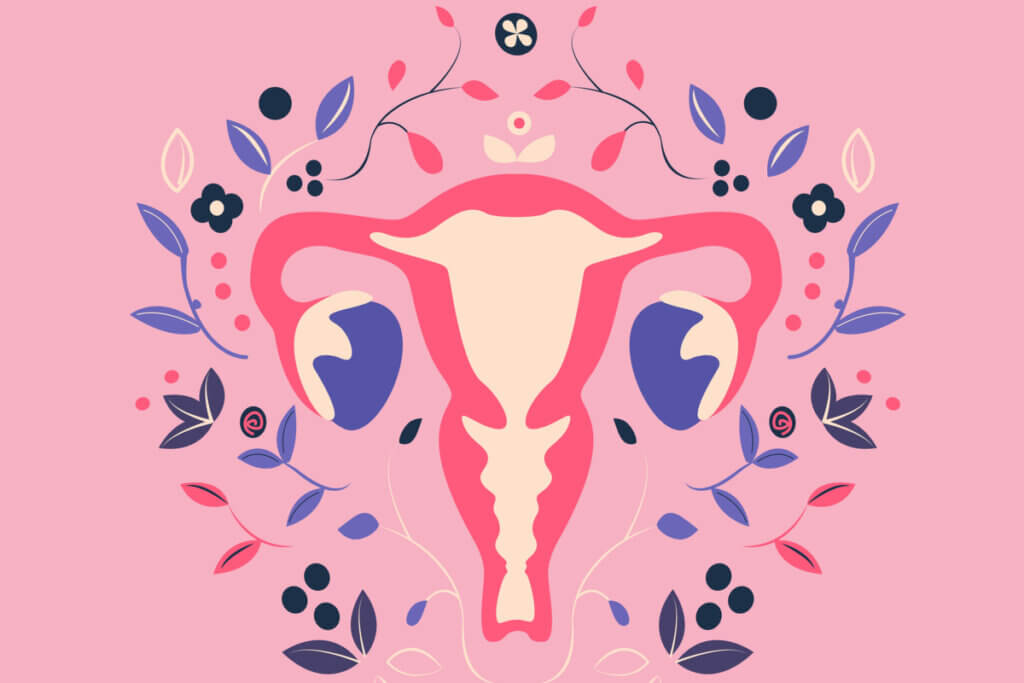 Ilustração do útero com ramos de folhas ao redor no fundo rosa