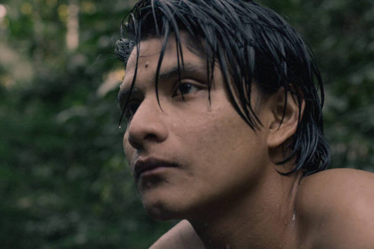 Dia da Amazônia: 4 documentários para entender a importância dessa floresta