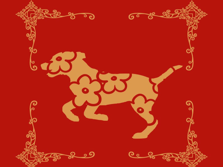 Confira as características do signo do Cachorro no Horóscopo Chinês