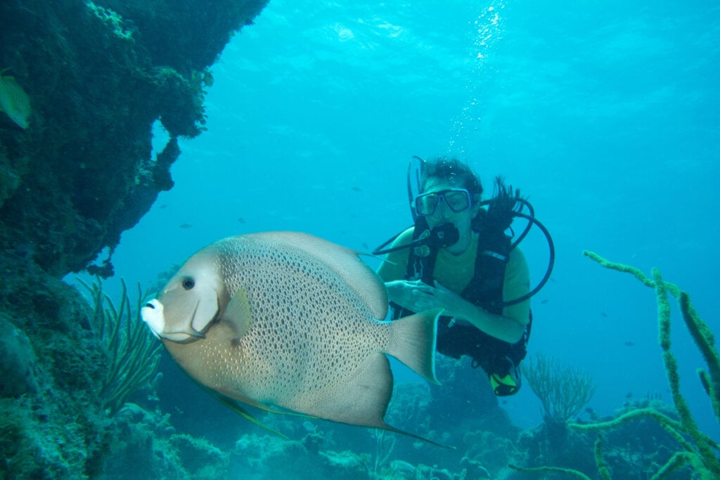 Mulher mergulhando atrás de um peixe no fundo do mar 