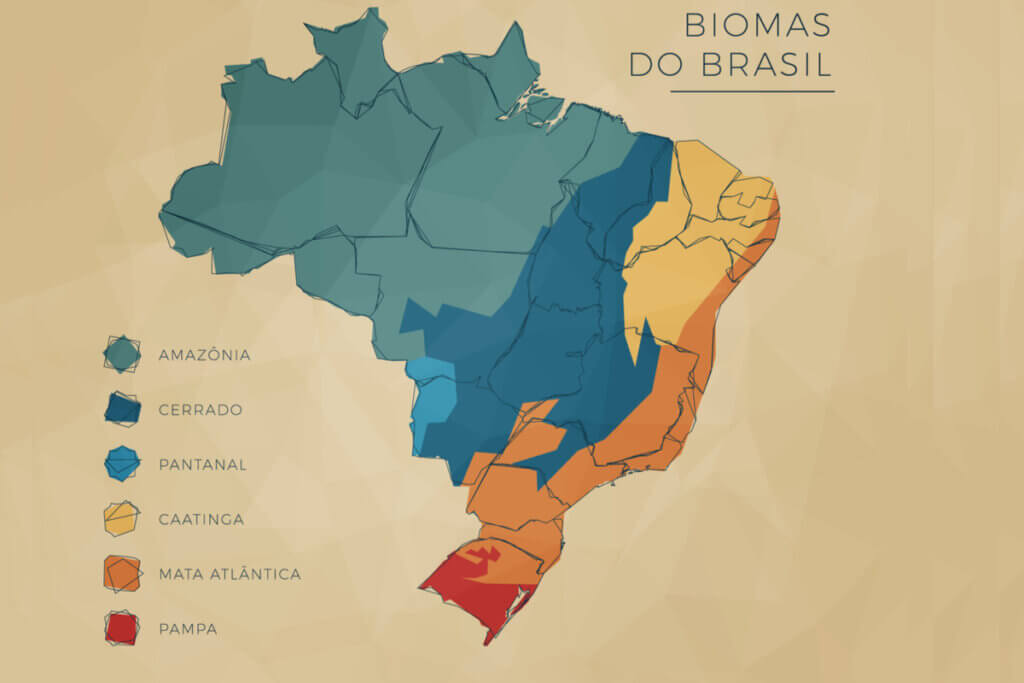 Ilustração do mapa com os biomas brasileiros