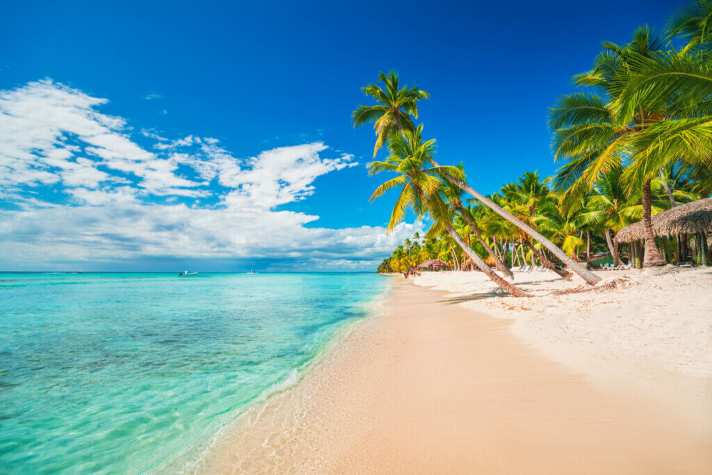 Praia paradisíaca em Punta Cana com coqueiros na areia