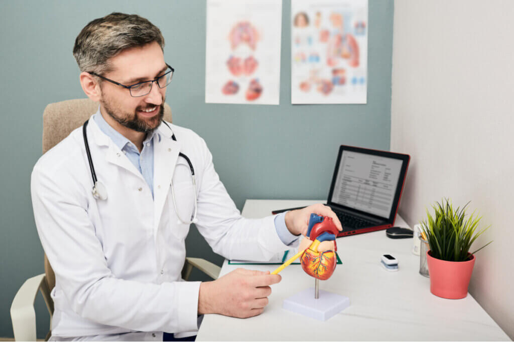 Médico cardiologista usando jaleco mostrando a figura de um coração. Na mesa tem um notebook aberto e um vaso de planta