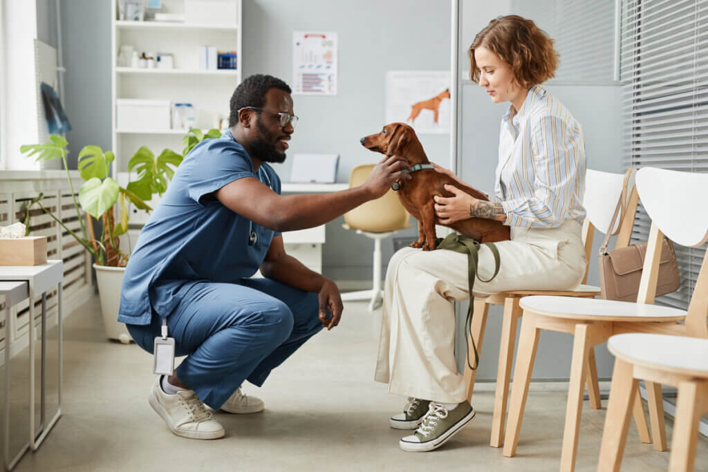 Mulher no consultório veterinário com cachorro no colo. Médico veterinário cuidando do pet