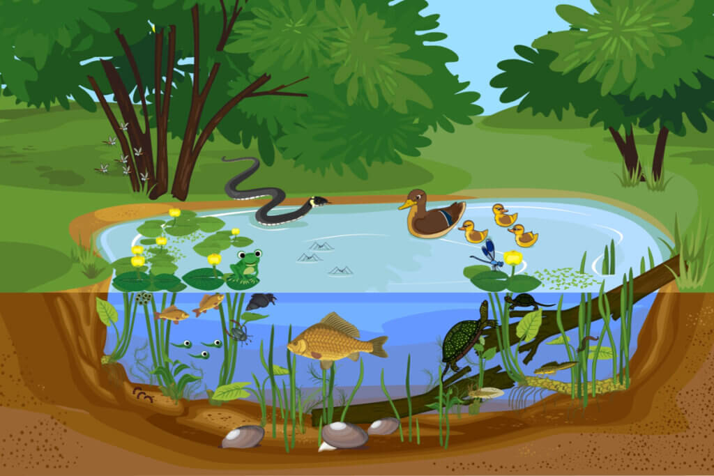 Ilustração de animais no lago de uma floresta