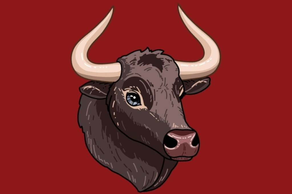 Ilustração de um Búfalo