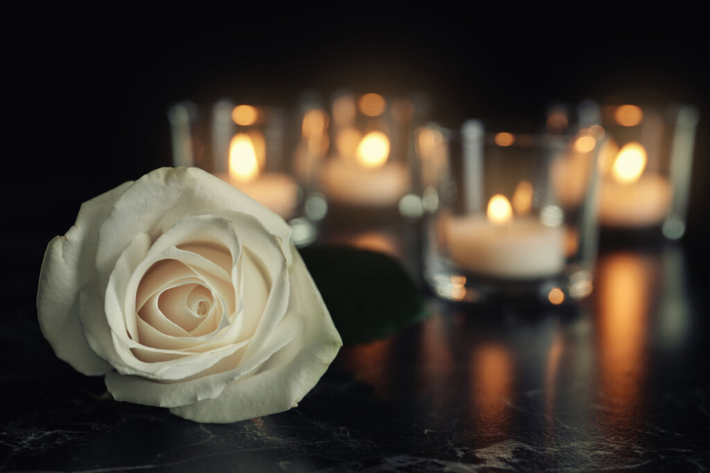 Rosa branca com velas em copos de vidro ao fundo