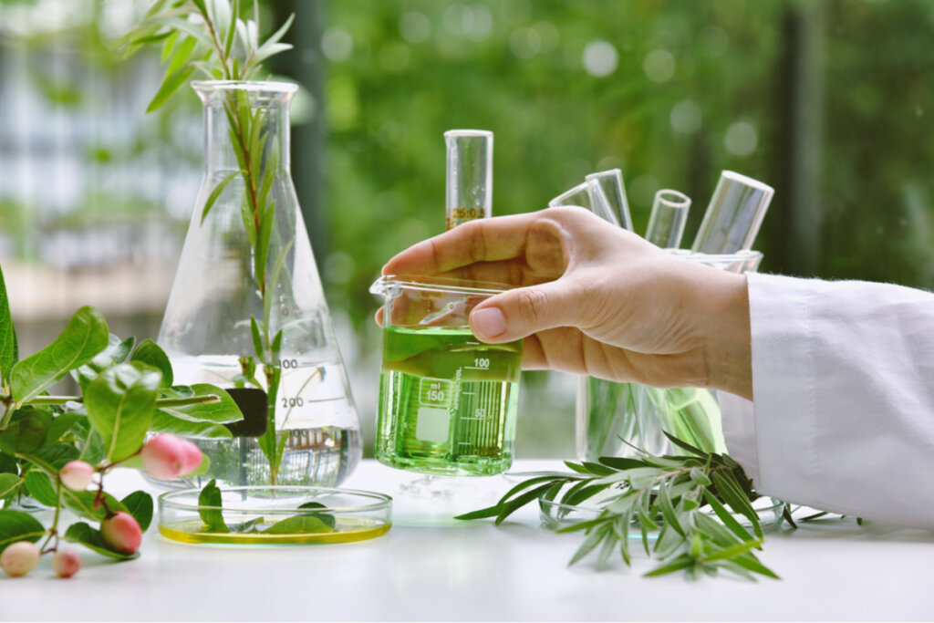 Pessoa testando plantas medicinais em tubos de ensaio