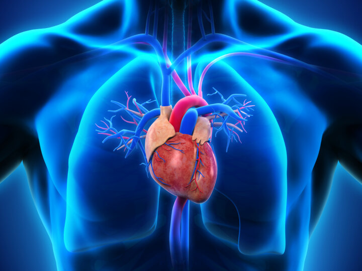 Doenças cardíacas: conheça as causas e saiba como prevenir