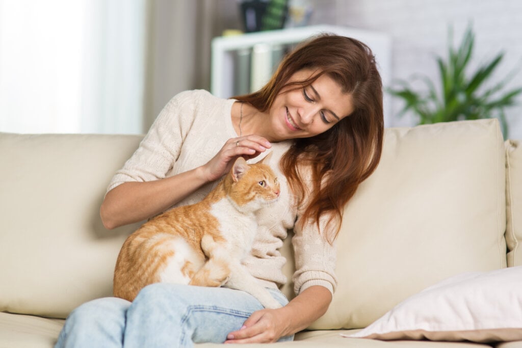 Mulher sentada no sofá e fazendo carinho no gato caramelo e branco no colo