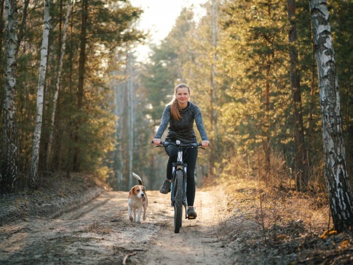 5 dicas do que fazer quando o cachorro começa a perseguir você e sua bicicleta