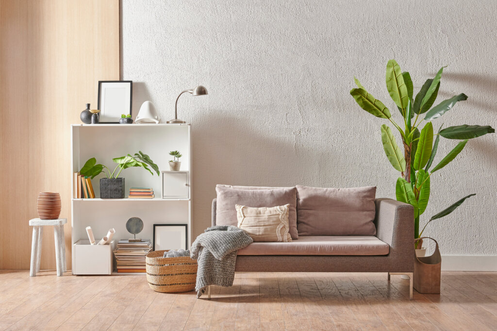 Sala de estar com sofá, vaso de planta e prateleira branca