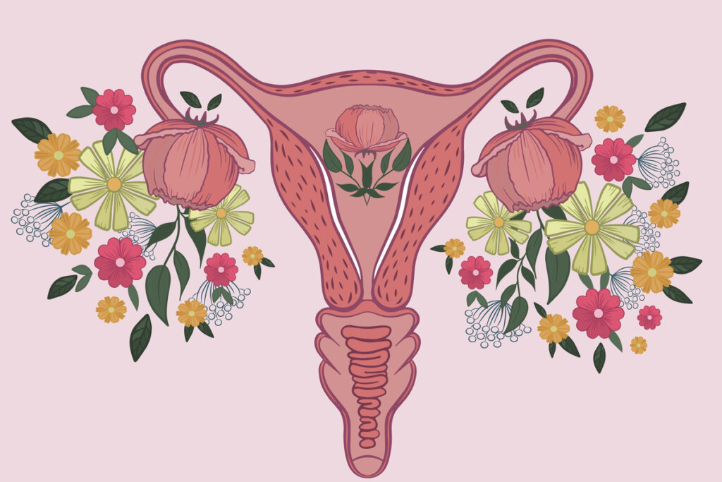 Ilustração de um útero em formato de flores