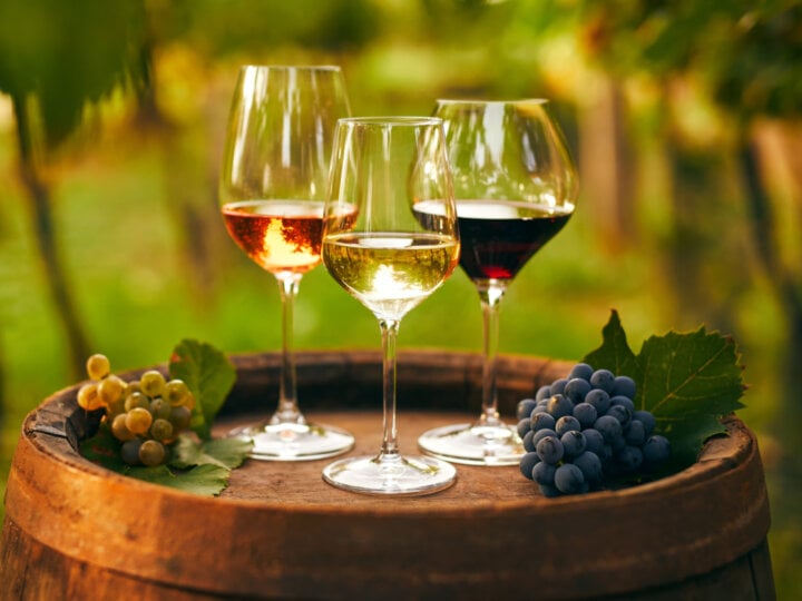 Conheça os vinhos da região sul da Itália