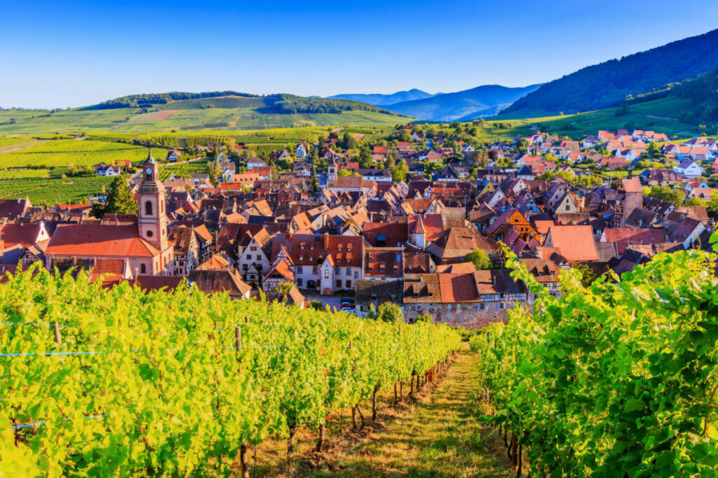 Vista do vilarejo de Riquewihr na Alsácia com pequenas casas e muito verde