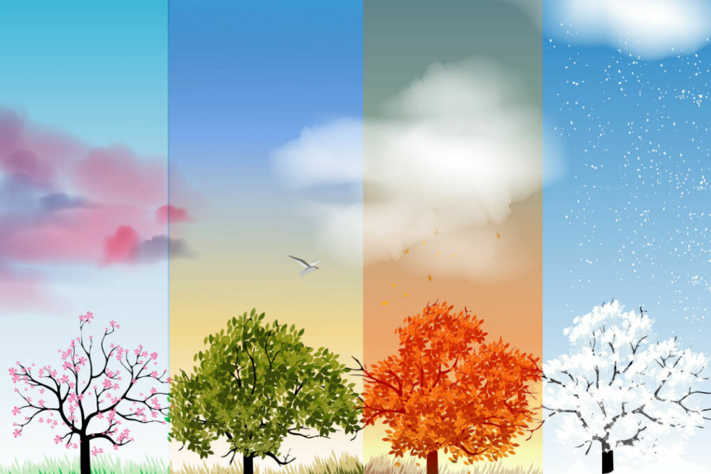 Ilustração das 4 estações do ano com uma árvore