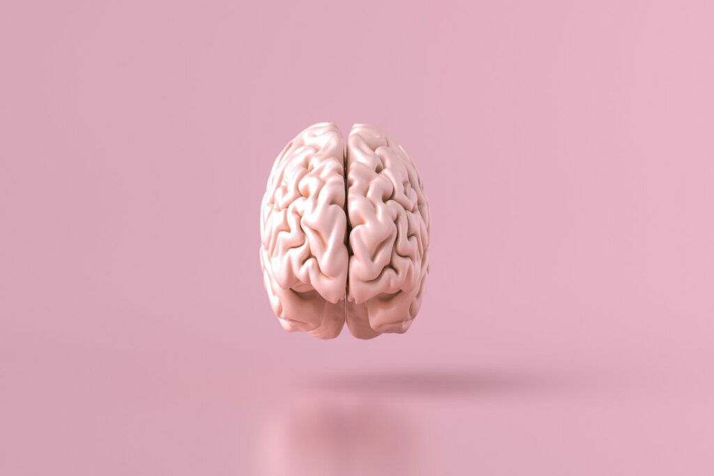 Ilustração de um cérebro em um fundo rosa