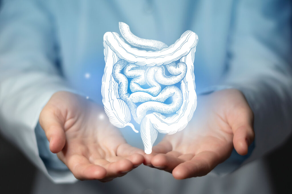 Desenho de intestino em luz azul