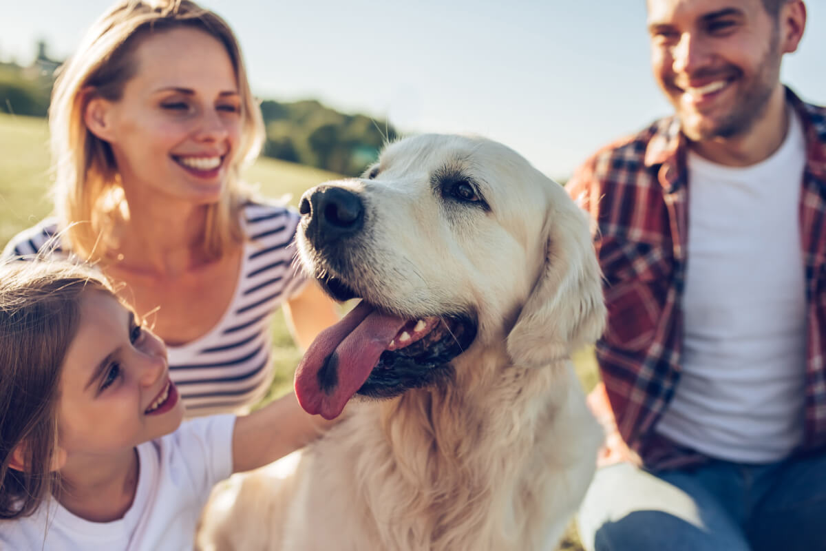 8 coisas que você precisa saber antes de adotar um cachorro