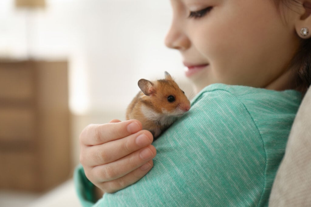 Hamster no ombro de menina, que sorri segurando o animal