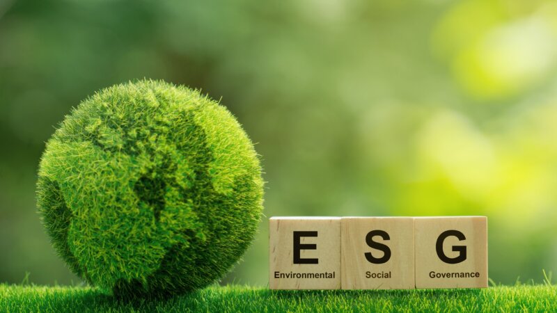 ESG: entenda o que é o conceito e como aplicá-lo nos negócios