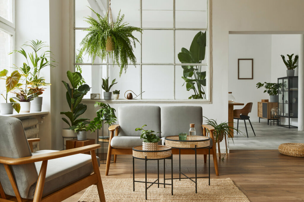 Sala de estar com plantas e cadeiras cinzas