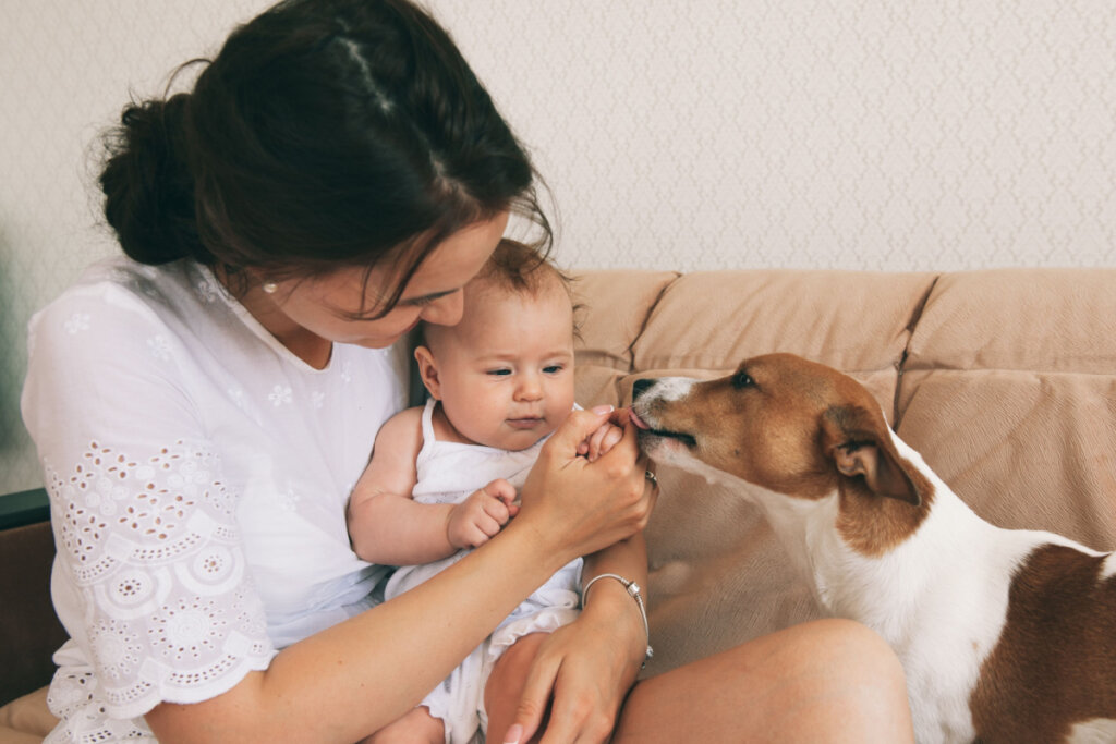 Jovem mãe com seu bebê brincando com cachorro jack russel terrier