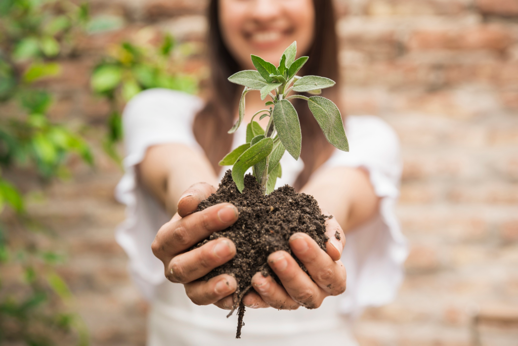 Mulher com muda de planta nas mãos