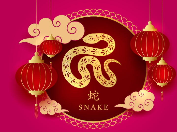 Serpente: conheça as características desse signo do horóscopo chinês