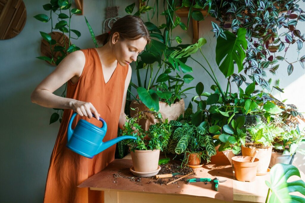 Mulher regando um vaso de planta