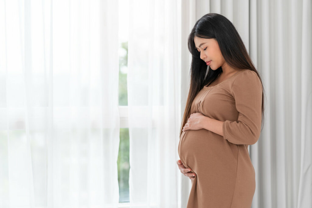 Mulher grávida em frente a uma janela alisando a barriga 